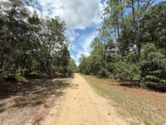 109 Pinellas Street Florahome FL 32140 OK225452 image6