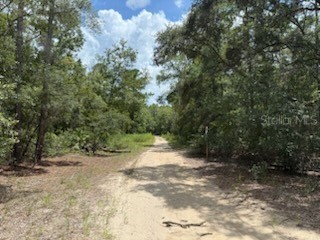 109 Pinellas Street Florahome FL 32140 OK225452 image7