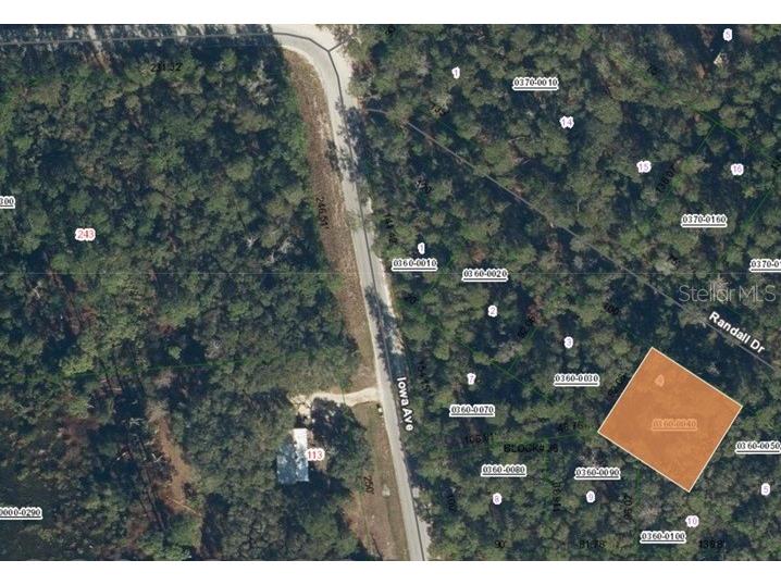 109 Randall Drive Satsuma FL 32189 TB8406483 image2