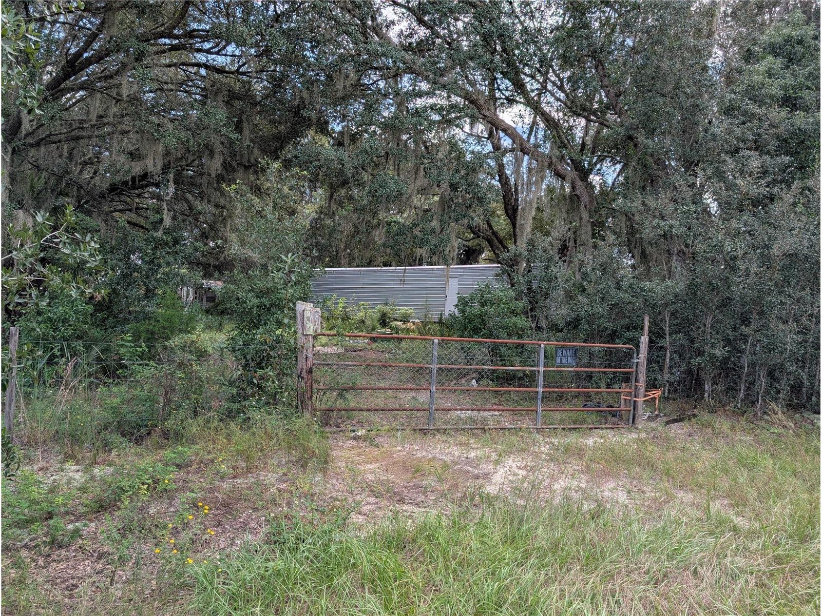 109 Rhododendron Lane Interlachen FL 32148 O6309927 image1