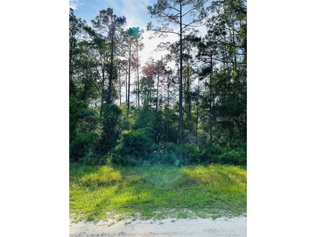 109 Sailfish Drive Palatka FL 32177 - ST. JOHNS RIVER FC300331 image1