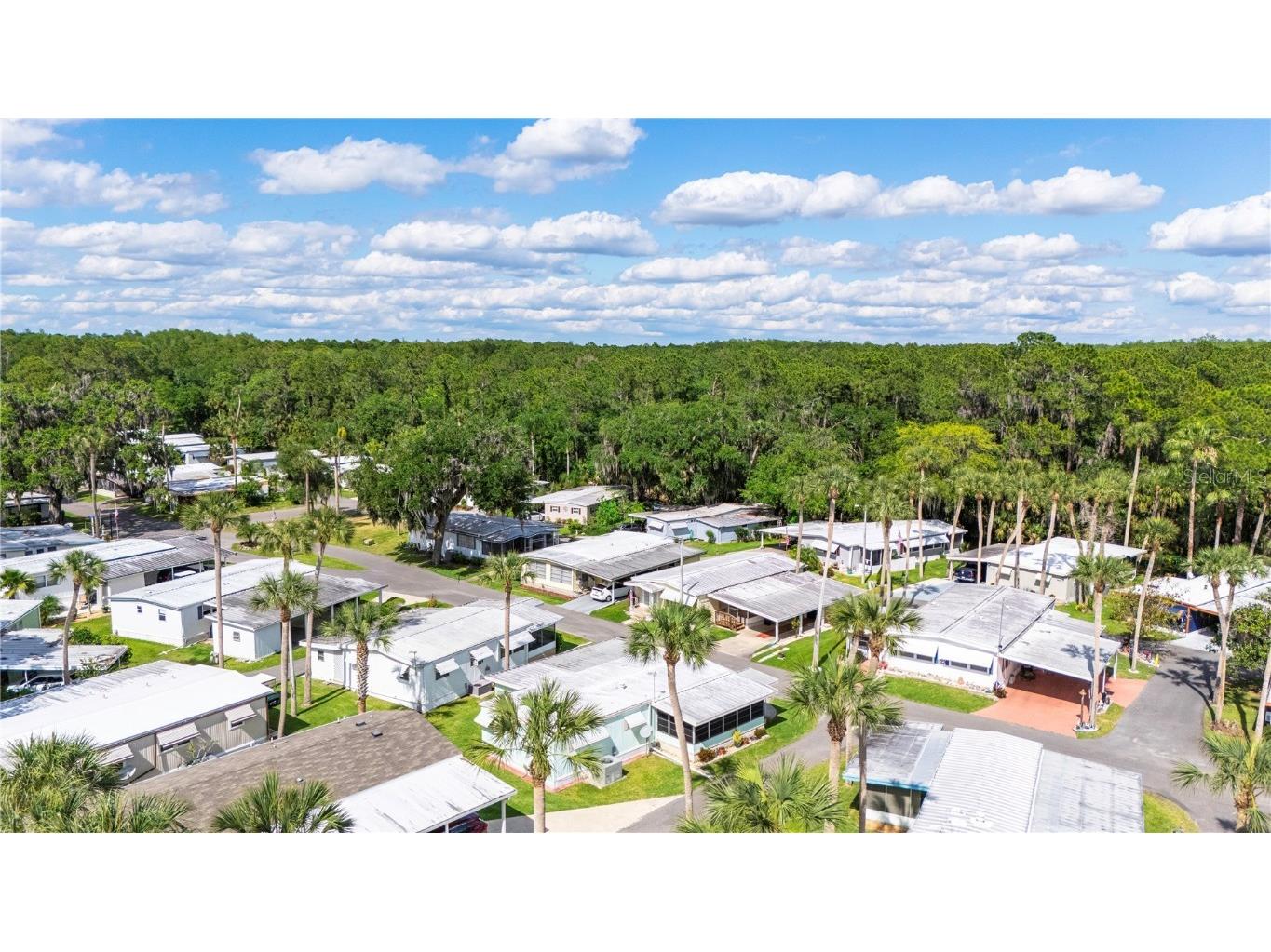 109 Shady Lane #A Eustis FL 32726 - Trout Lake G5081337 image50