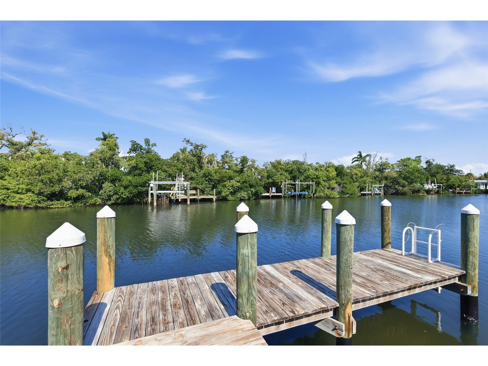 109 Tern Drive Anna Maria FL 34216 A4685406 image27