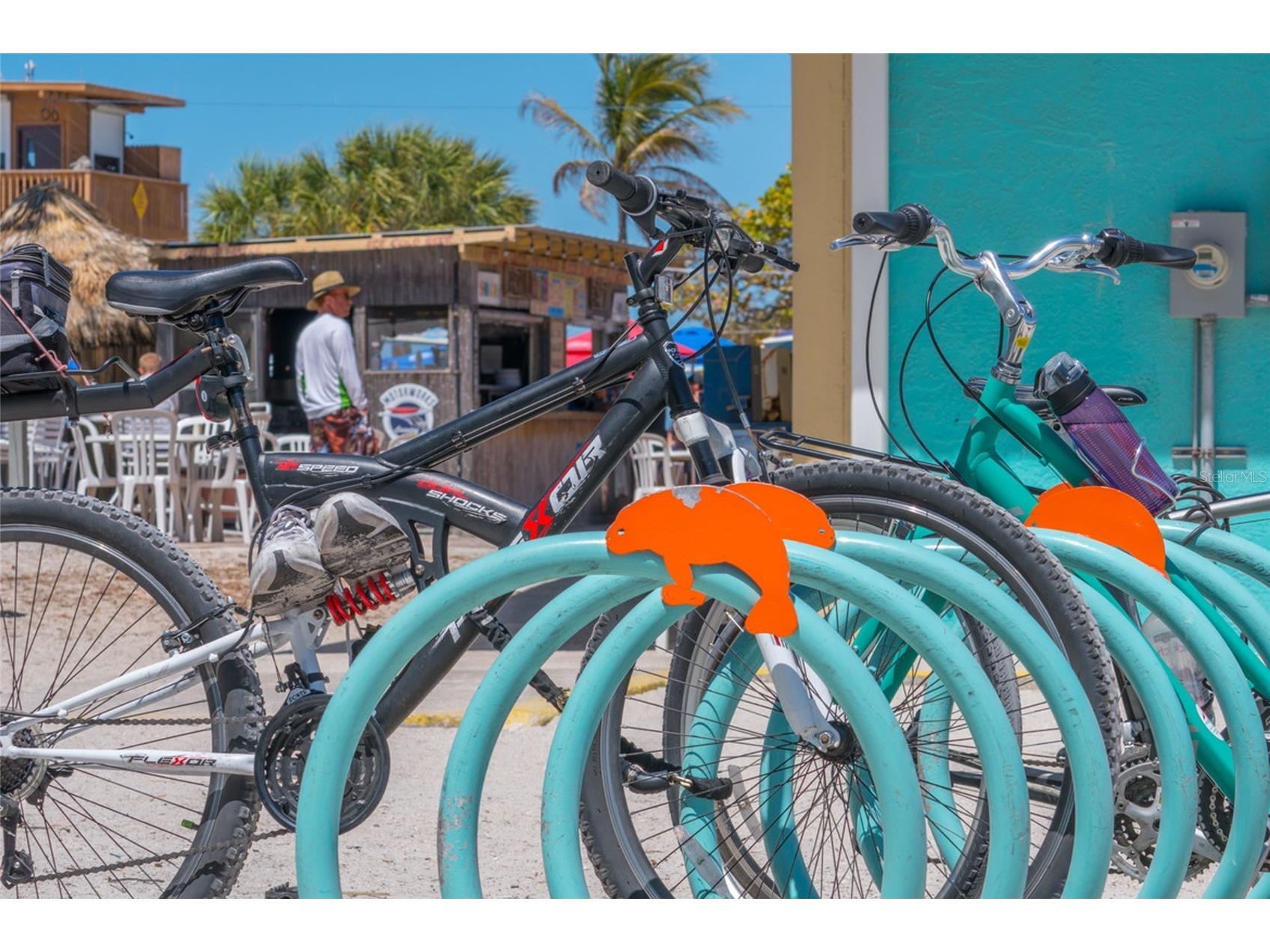 109 Tern Drive Anna Maria FL 34216 A4685406 image58