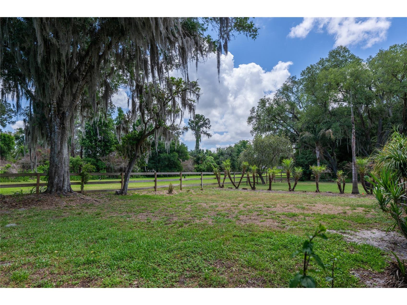 109 Waterwood Drive Yalaha FL 34797 - LAKE HARRIS CHAIN OF LAKES G5111380 image31