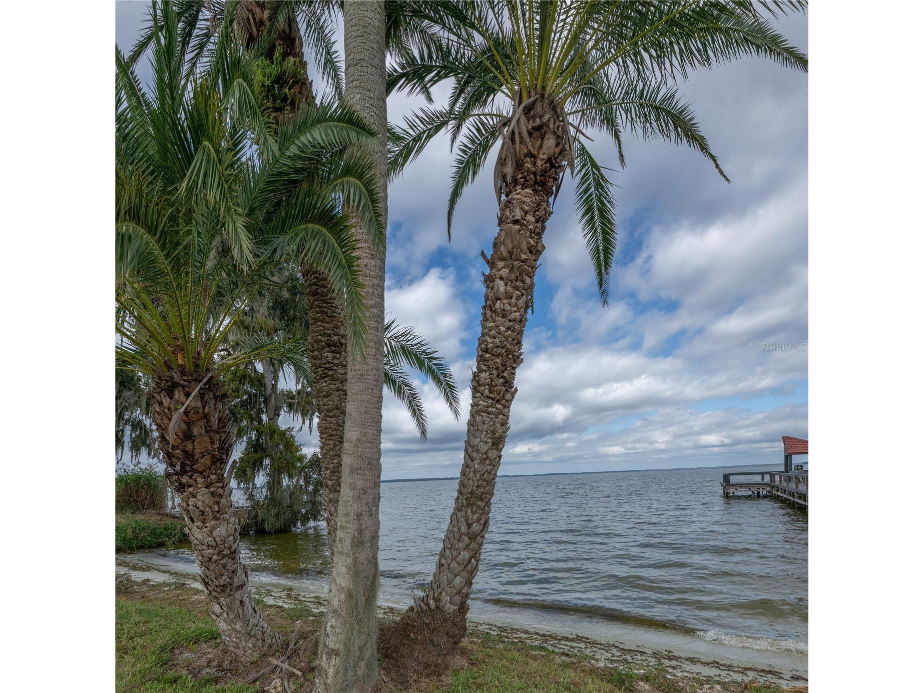109 Waterwood Drive Yalaha FL 34797 - LAKE HARRIS CHAIN OF LAKES G5111380 image47