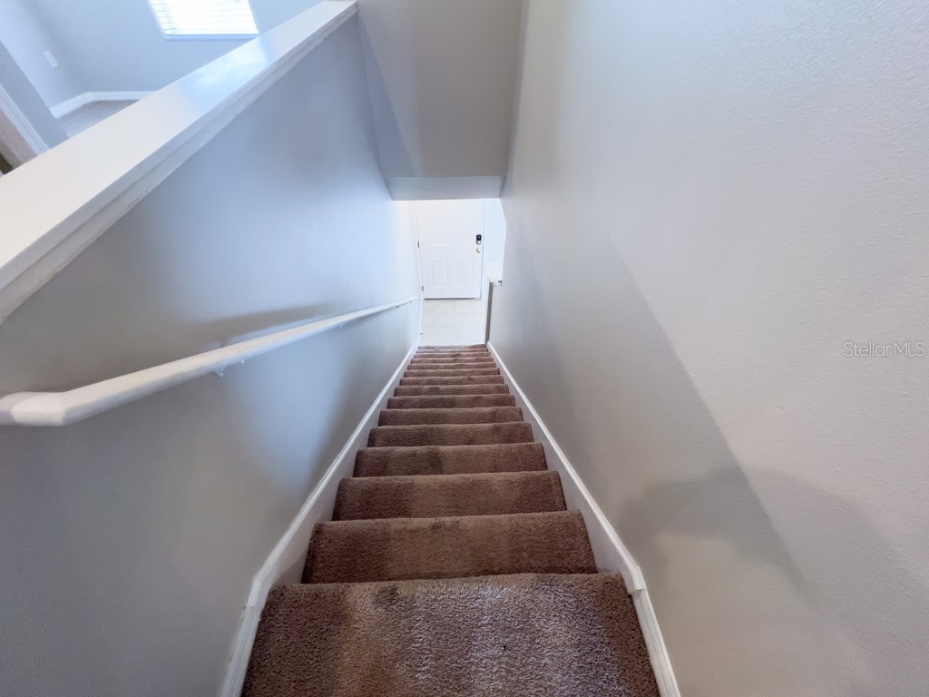 109 Woodknoll Place Valrico FL 33594 TB8498319 image19