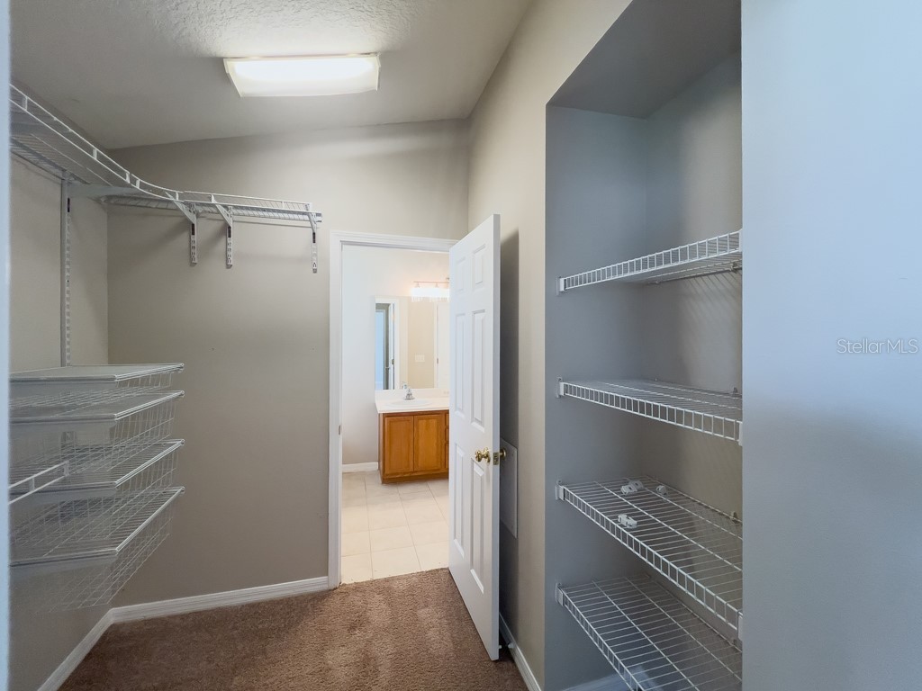 109 Woodknoll Place Valrico FL 33594 TB8498319 image24