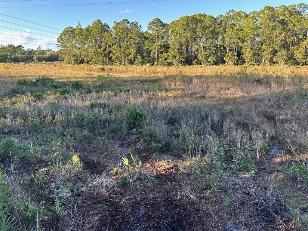 1090 Homestead Cove Geneva FL 32732 O6245976 image10