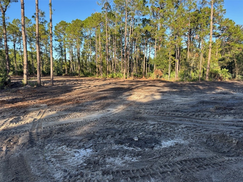 1090 Homestead Cove Geneva FL 32732 O6245976 image2