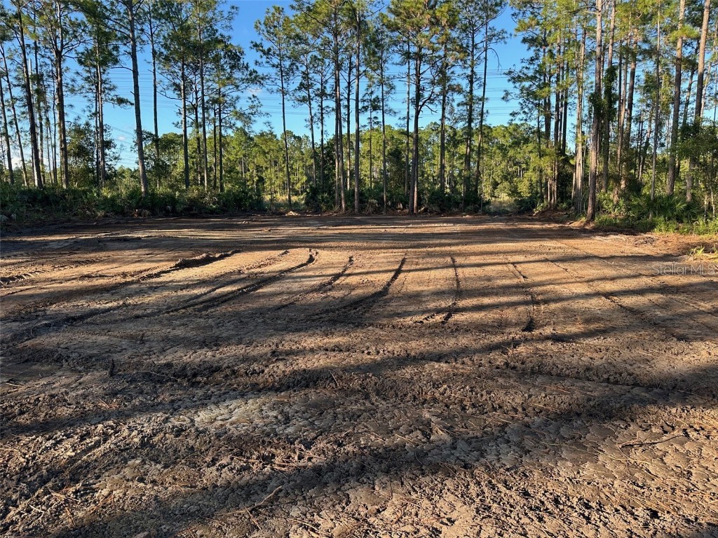 1090 Homestead Cove Geneva FL 32732 O6245976 image4