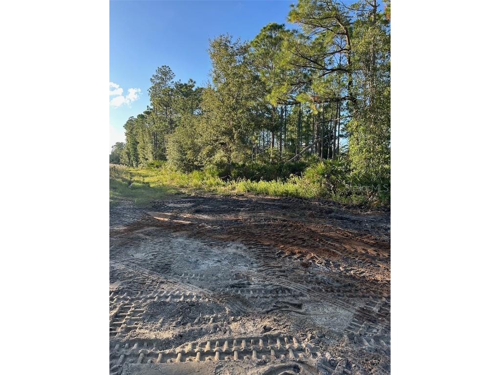 1090 Homestead Cove Geneva FL 32732 O6245976 image5