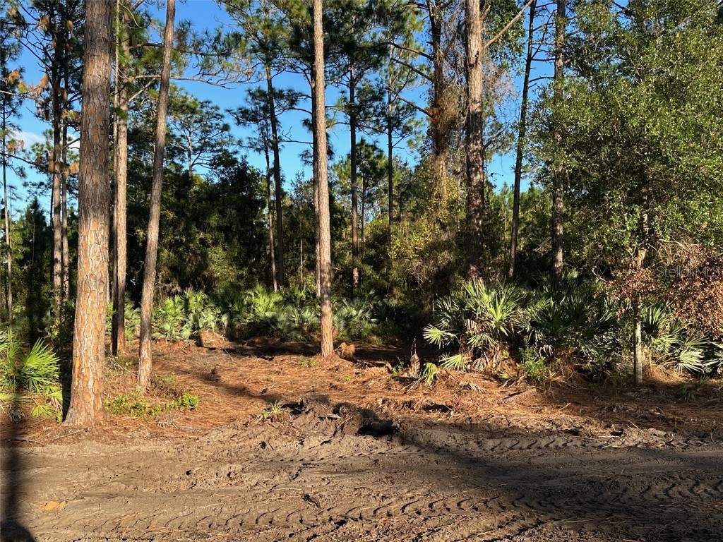 1090 Homestead Cove Geneva FL 32732 O6245976 image7