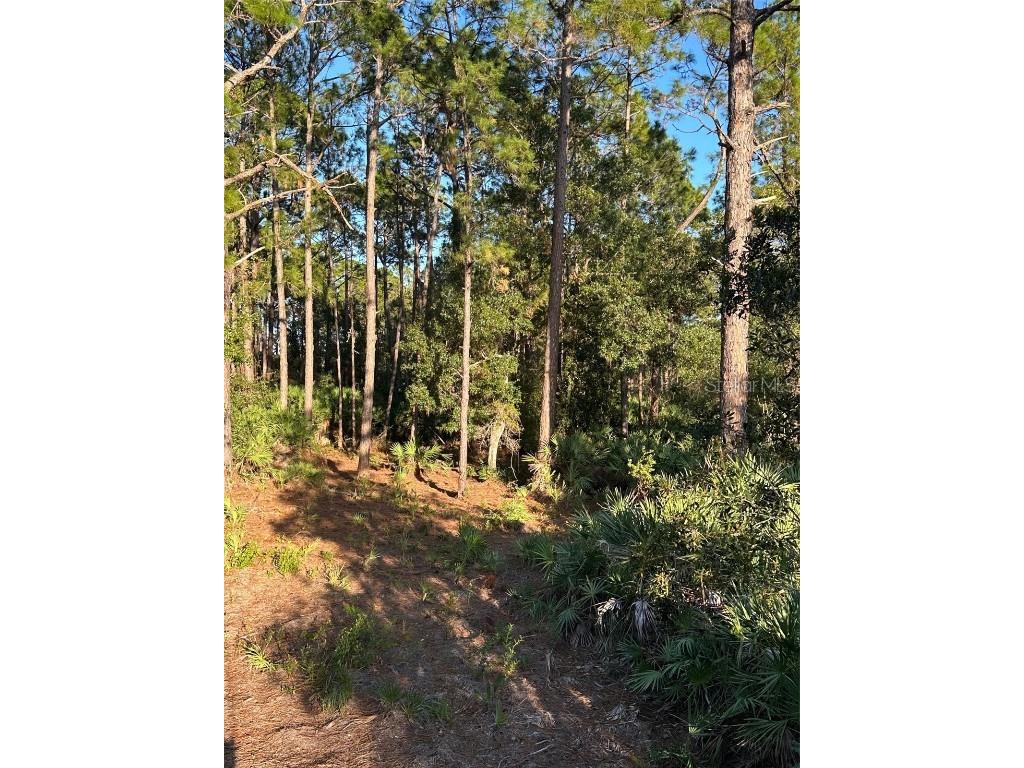 1090 Homestead Cove Geneva FL 32732 O6245976 image8