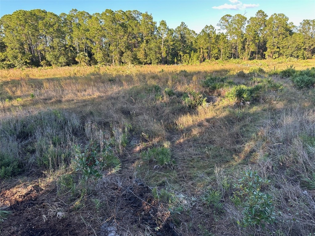 1090 Homestead Cove Geneva FL 32732 O6245976 image9