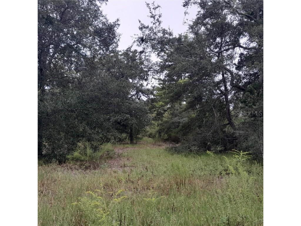 1090 NE 128th Avenue Williston FL 32696 OM685951 image1