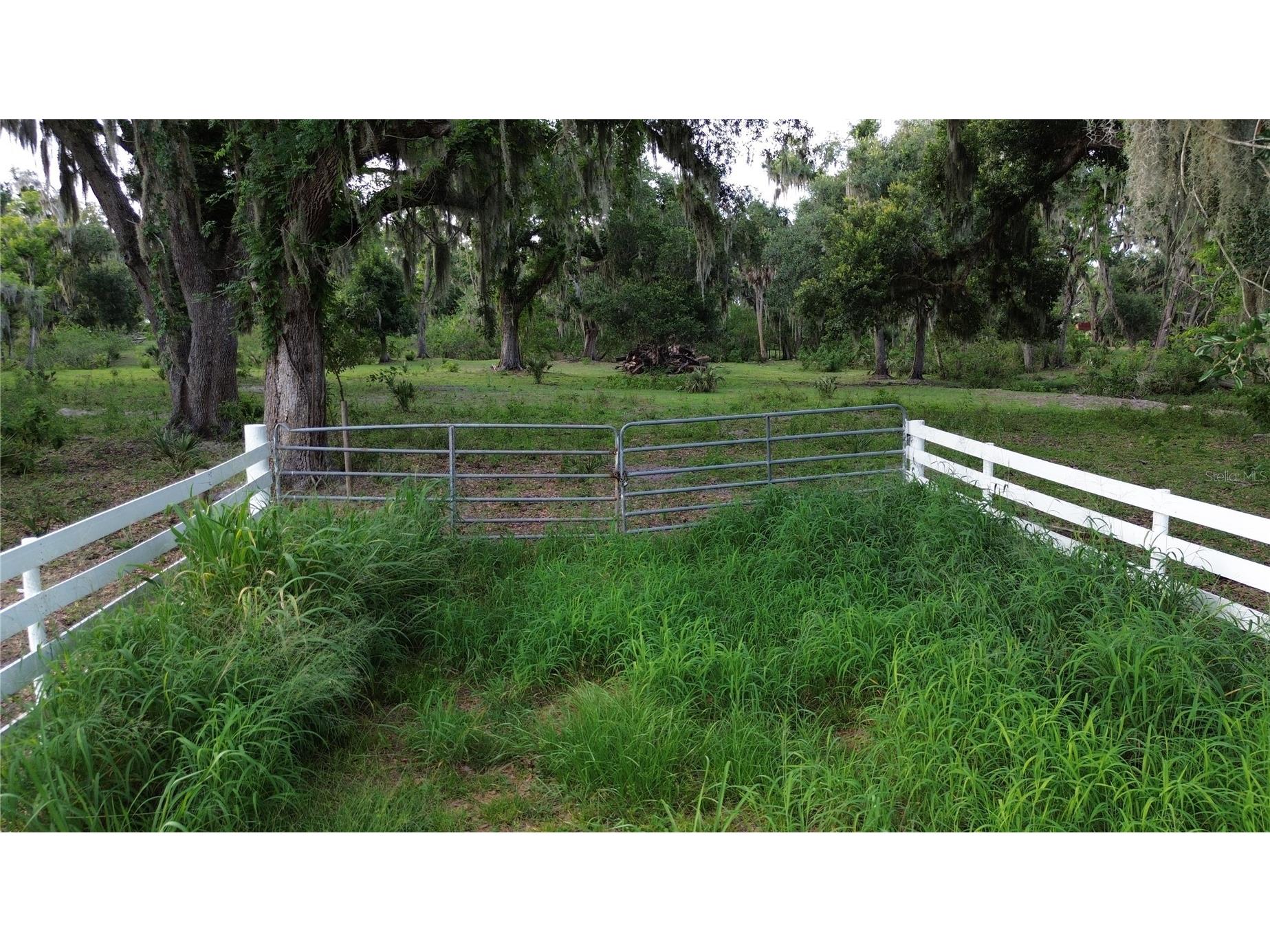 10900 Old Tampa Road Parrish FL 34219 A4697161 image2