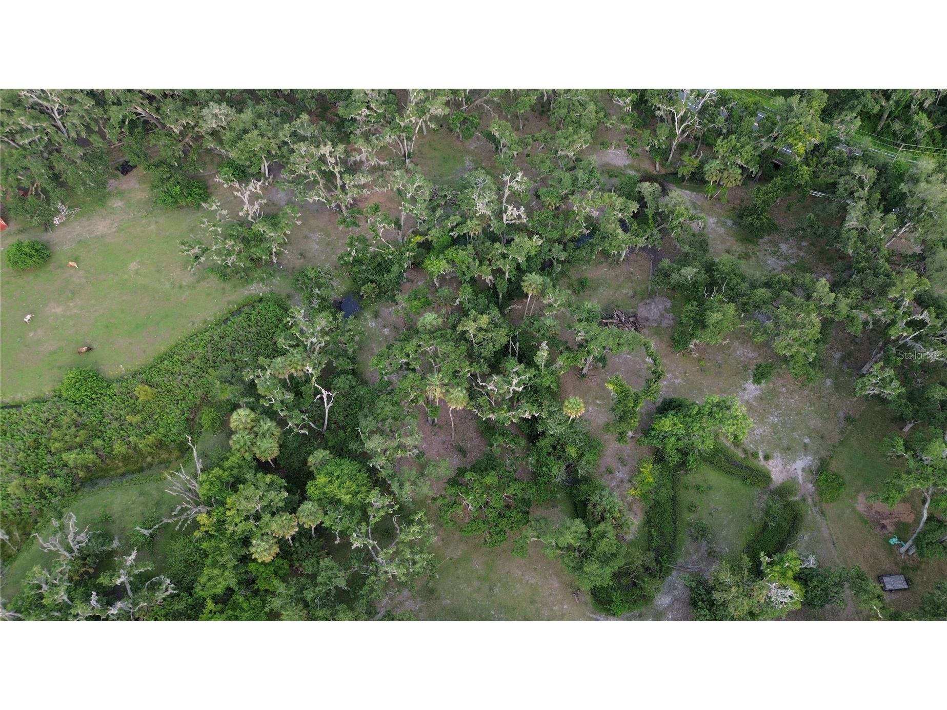 10900 Old Tampa Road Parrish FL 34219 A4697161 image4