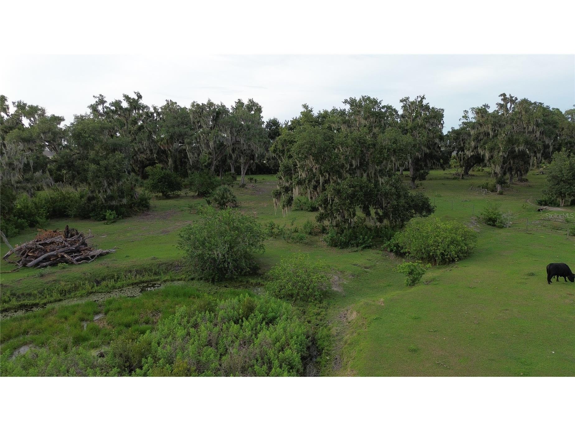 10900 Old Tampa Road Parrish FL 34219 A4697161 image5