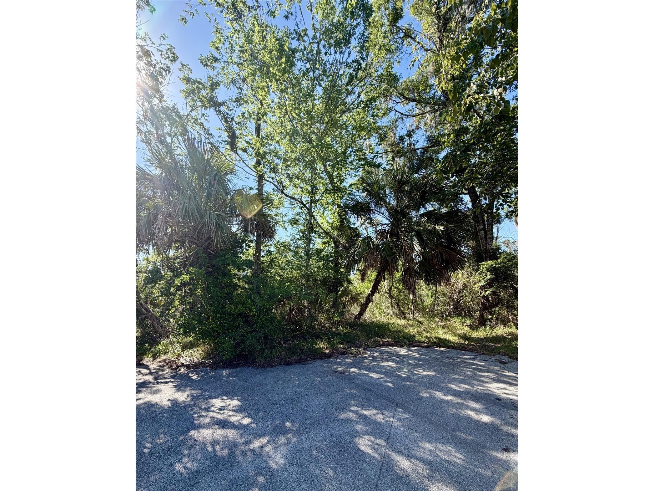10900 W Larchwood Street Homosassa FL 34448 O6407894 image1
