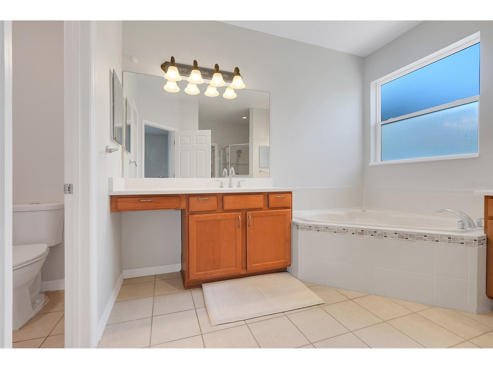 10901 Lemay Drive Clermont FL 34711 G5112523 image19