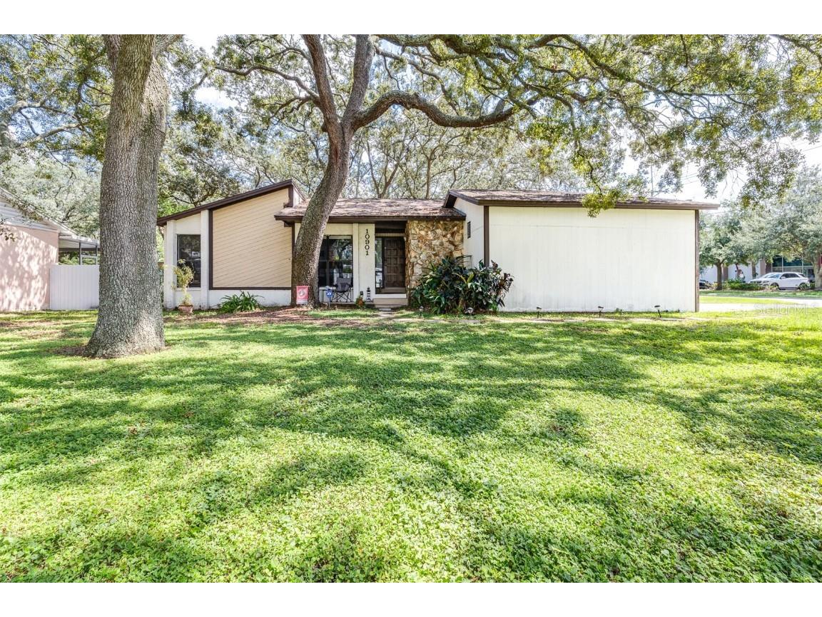 10901 Marjory Avenue Tampa FL 33612 TB8305949 image1