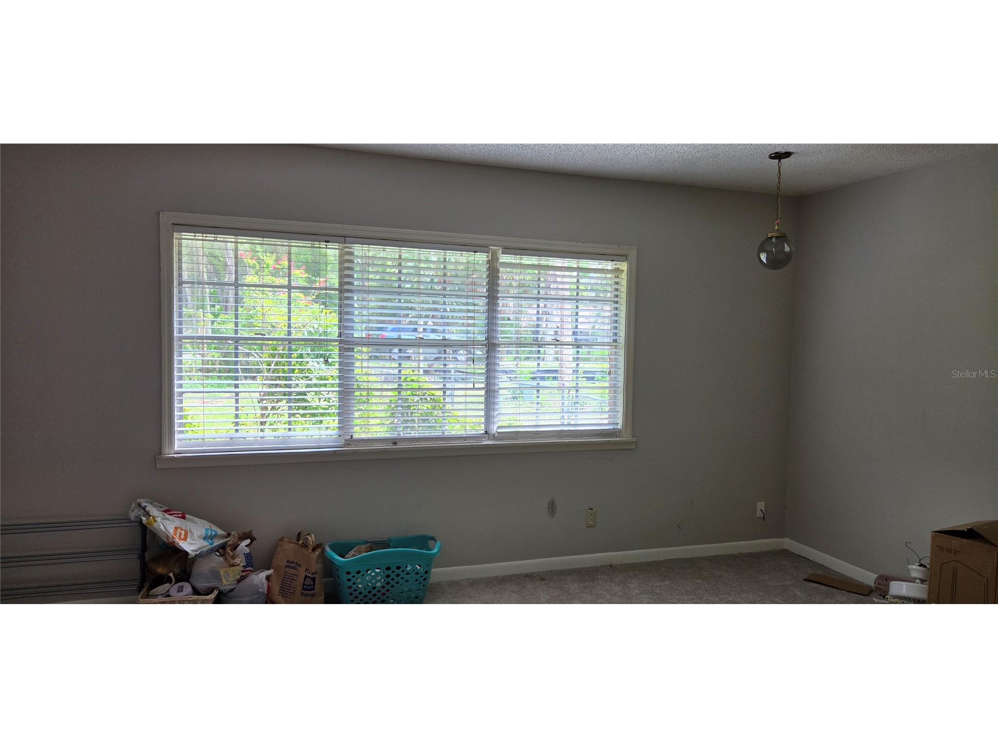 10901 Mcmullen Loop Riverview FL 33569 TB8529373 image14