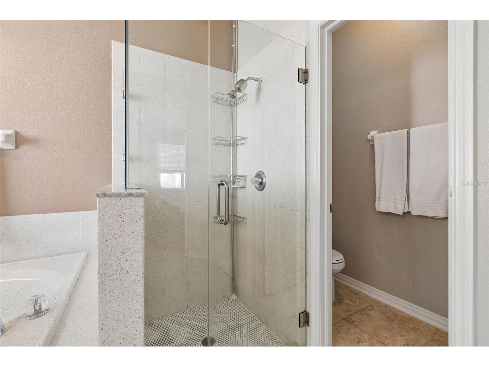10901 Wildcat Drive Riverview FL 33579 TB8497976 image30