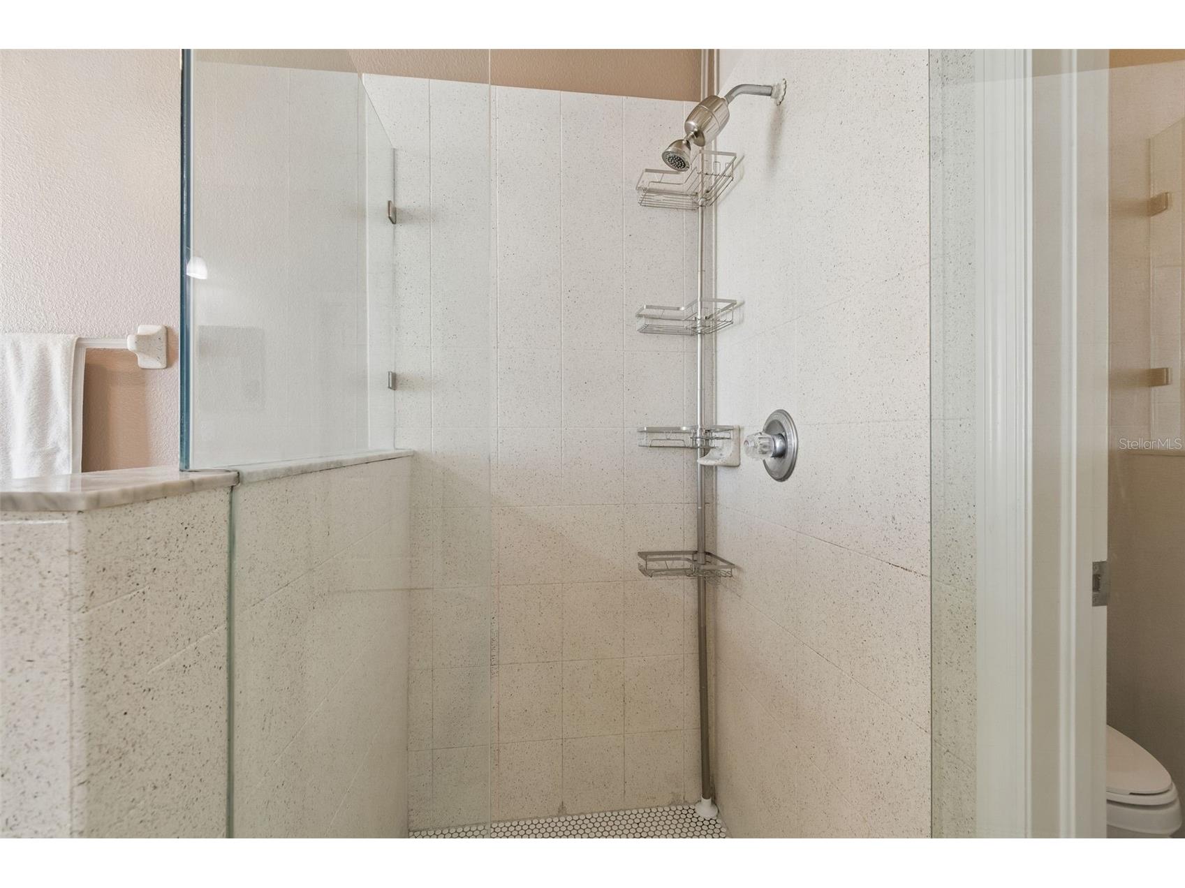 10901 Wildcat Drive Riverview FL 33579 TB8497976 image31