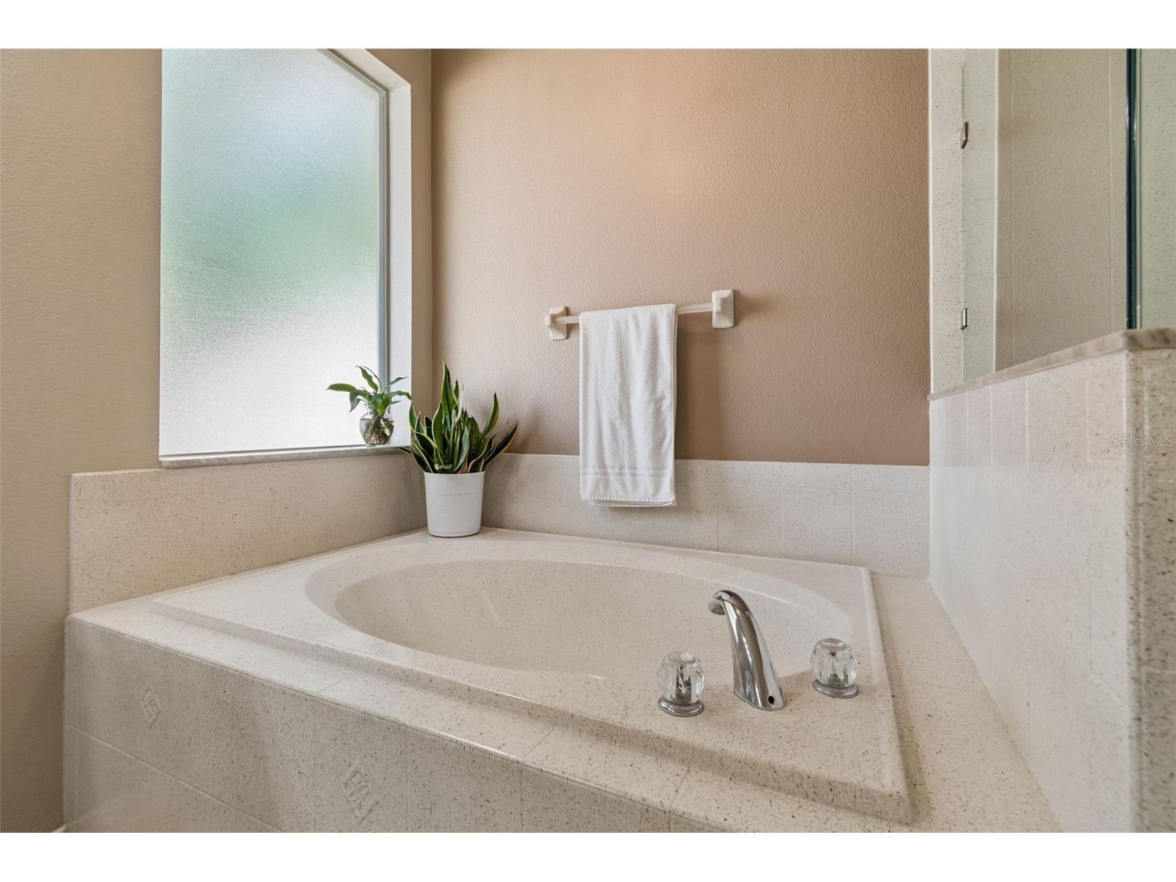 10901 Wildcat Drive Riverview FL 33579 TB8497976 image32