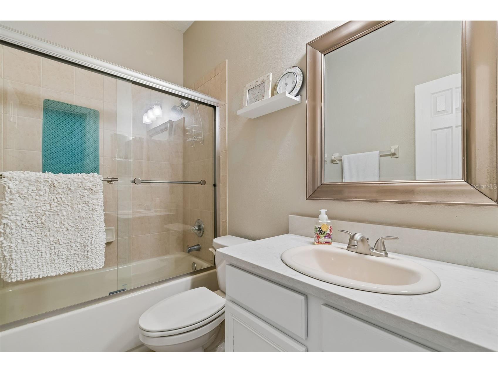 10901 Wildcat Drive Riverview FL 33579 TB8497976 image37