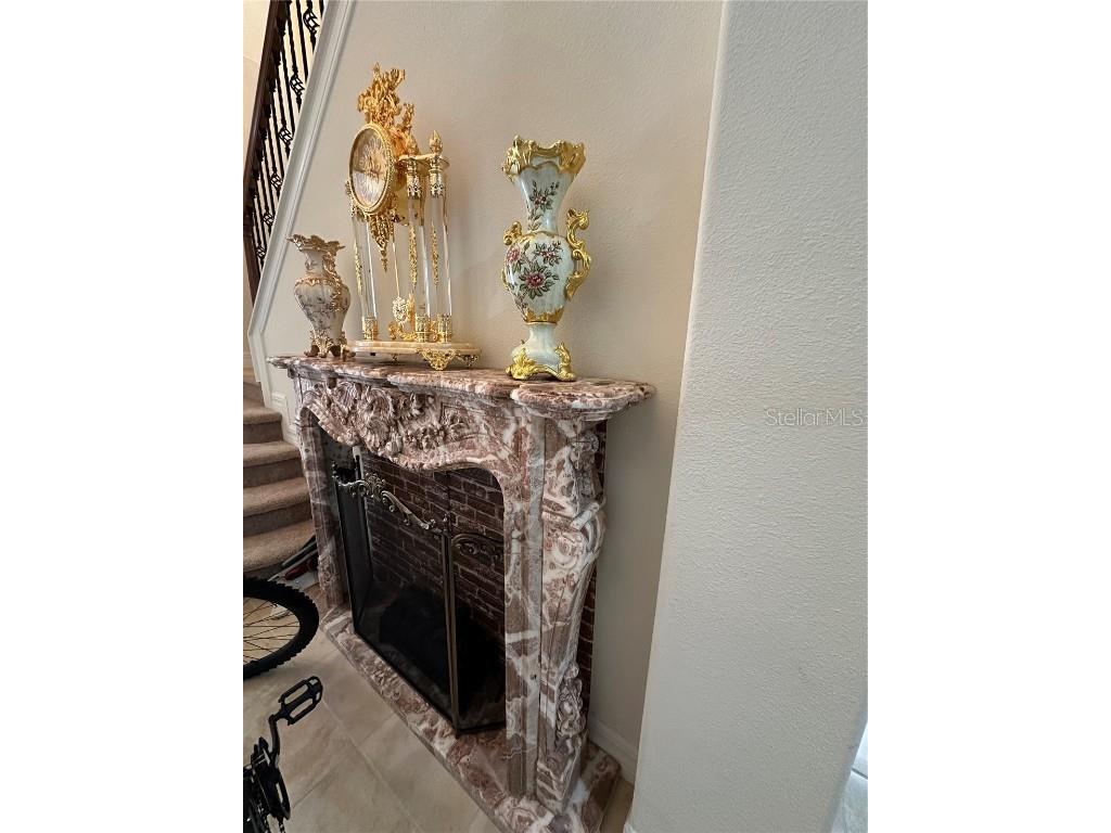 10902 Citron Oaks Drive Orlando FL 32836 S5120712 image14