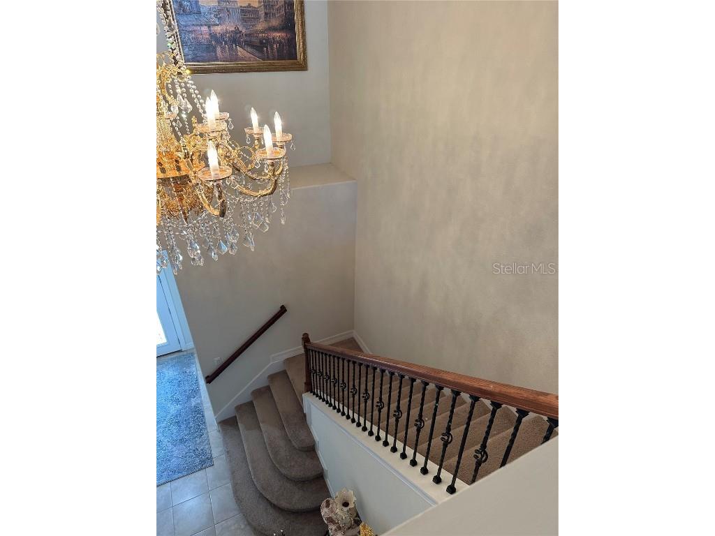 10902 Citron Oaks Drive Orlando FL 32836 S5120712 image16