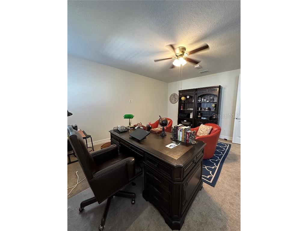 10902 Citron Oaks Drive Orlando FL 32836 S5120712 image20