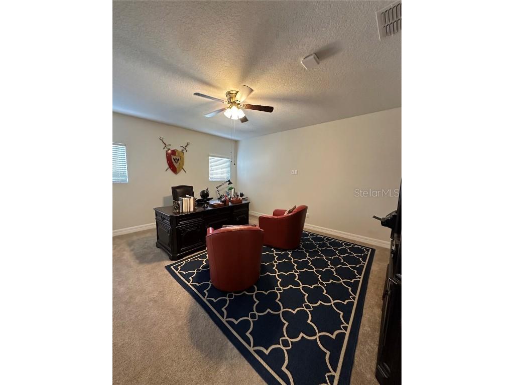 10902 Citron Oaks Drive Orlando FL 32836 S5120712 image21