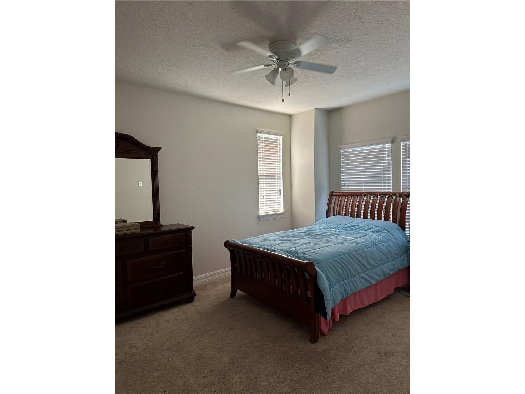 10902 Citron Oaks Drive Orlando FL 32836 S5120712 image27