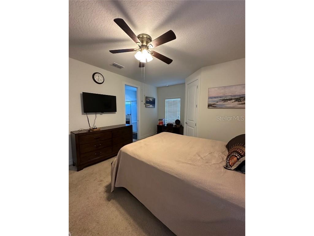 10902 Citron Oaks Drive Orlando FL 32836 S5120712 image29