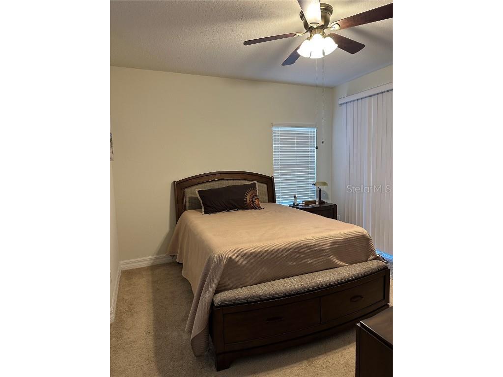 10902 Citron Oaks Drive Orlando FL 32836 S5120712 image30