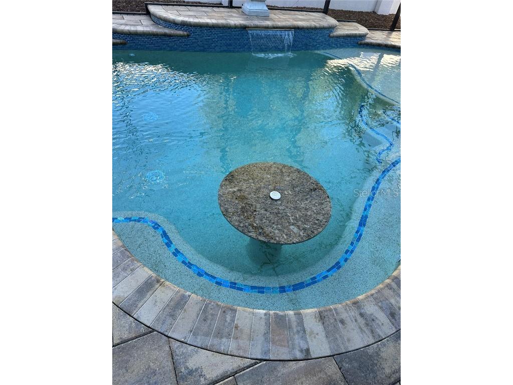 10902 Citron Oaks Drive Orlando FL 32836 S5120712 image33