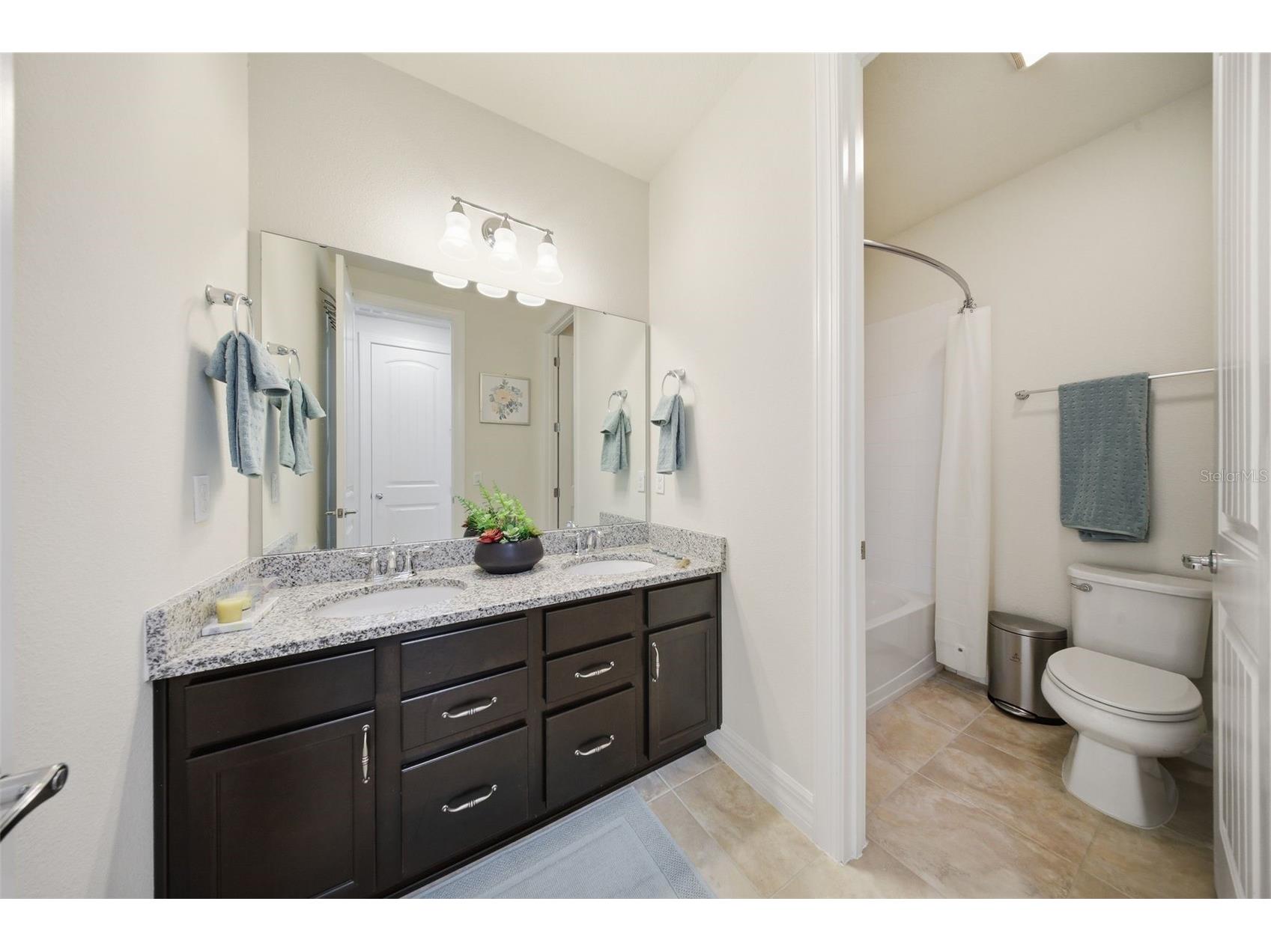 10902 Citron Oaks Drive Orlando FL 32836 TB8507076 image43