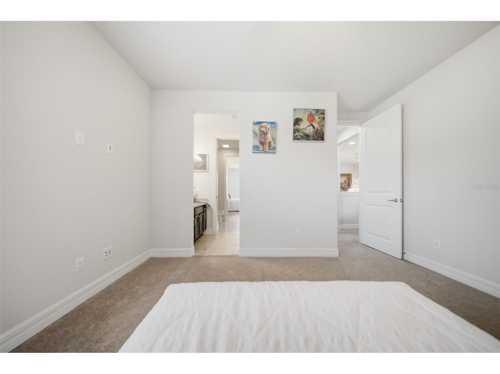 10902 Citron Oaks Drive Orlando FL 32836 TB8507076 image45