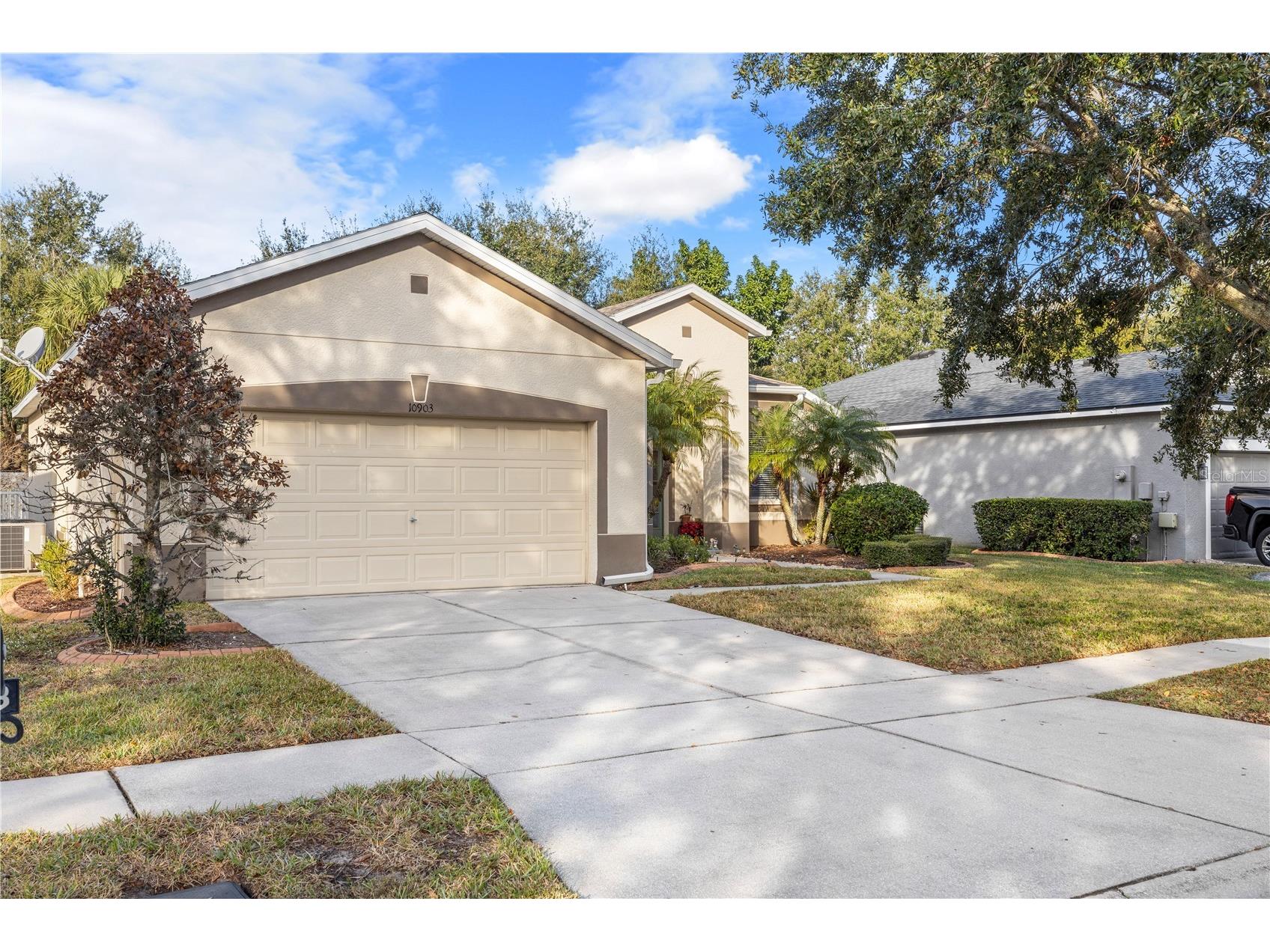 10903 Holly Cone Drive Riverview FL 33569 TB8456335 image1
