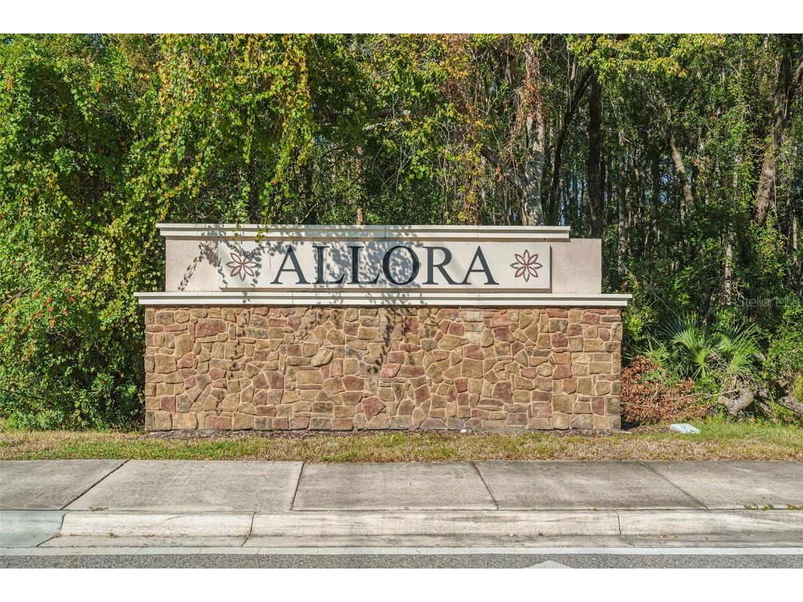 10903 Honor Road Tampa FL 33625 TB8448377 image33