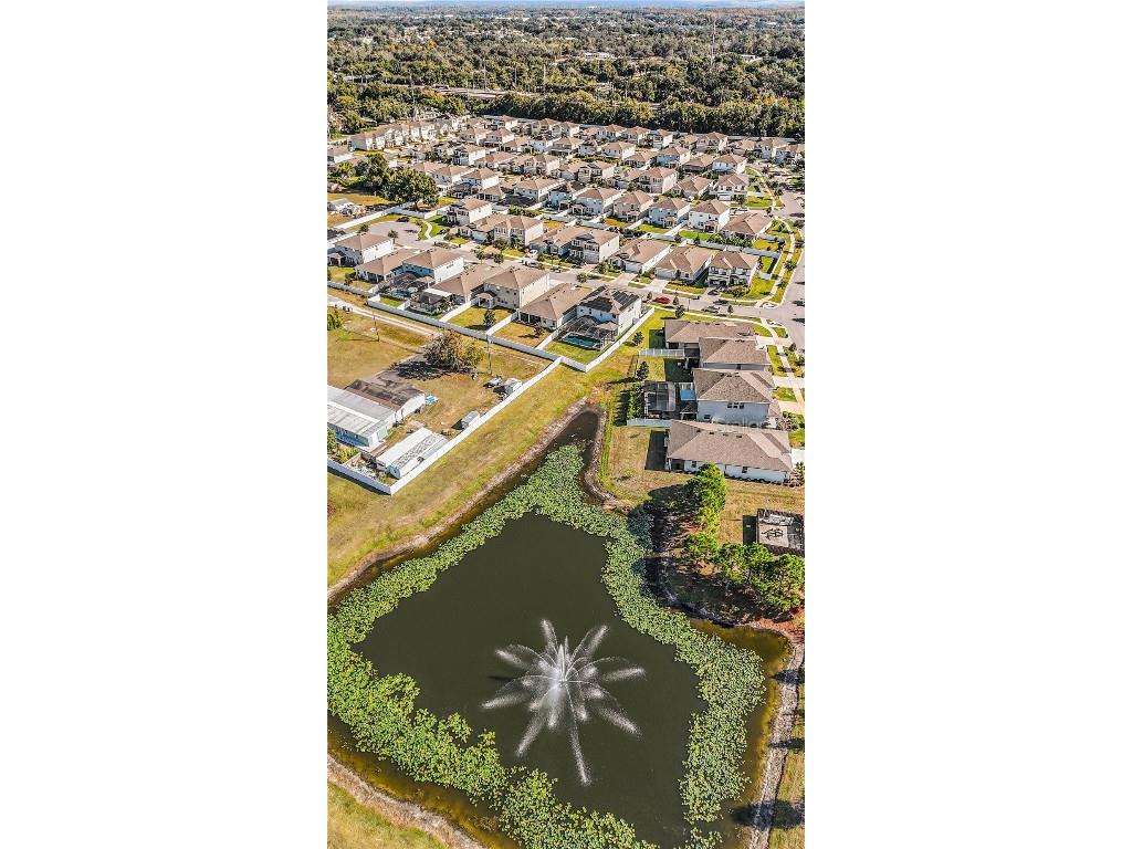 10903 Honor Road Tampa FL 33625 TB8448377 image35