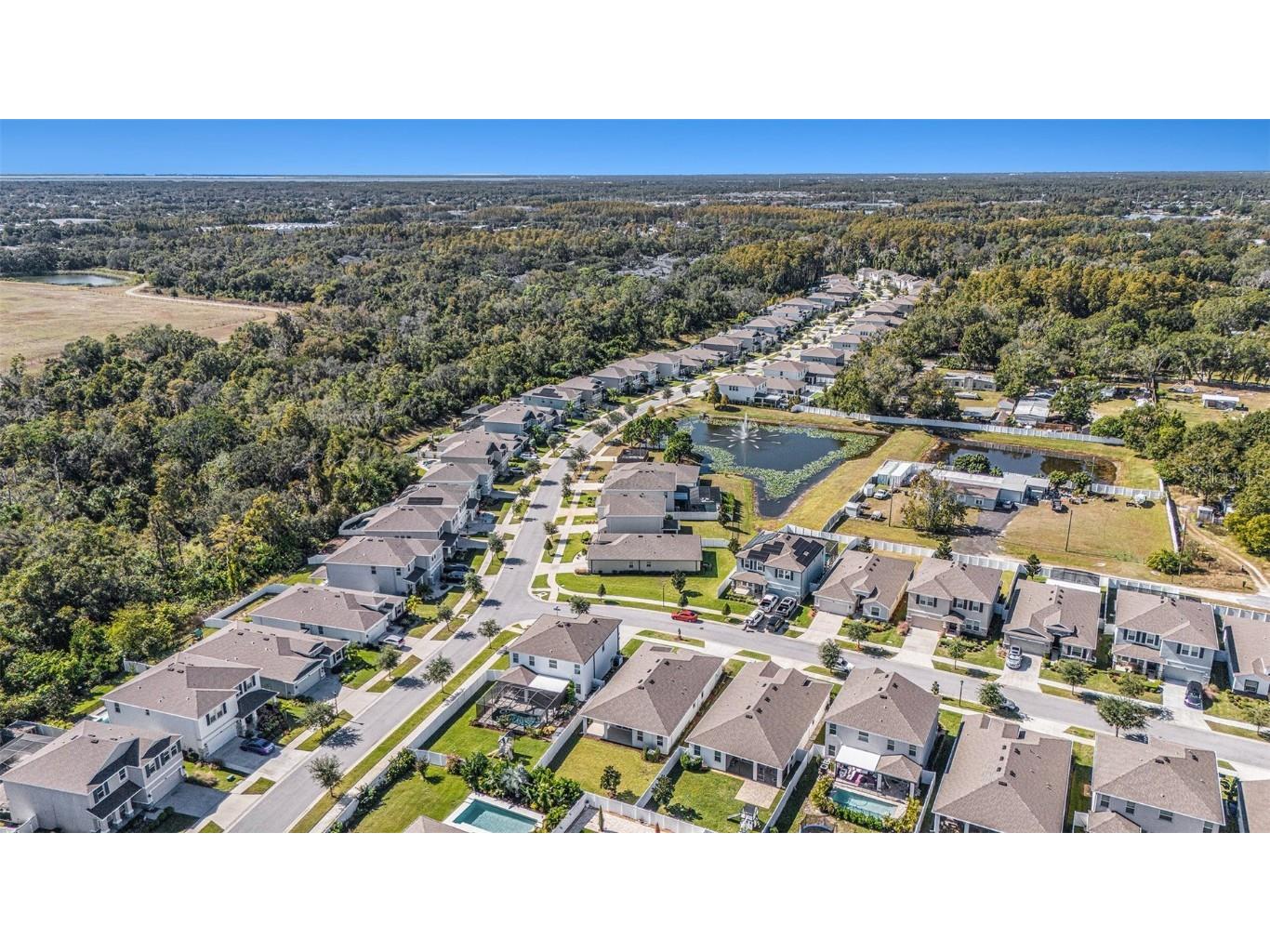 10903 Honor Road Tampa FL 33625 TB8448377 image36