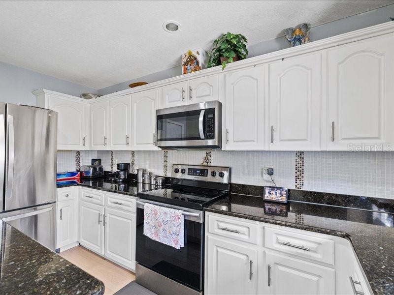 10903 Landon Lane Tampa FL 33635 TB8531491 image21