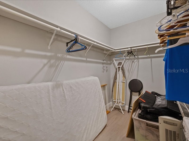 10903 Landon Lane Tampa FL 33635 TB8531491 image35