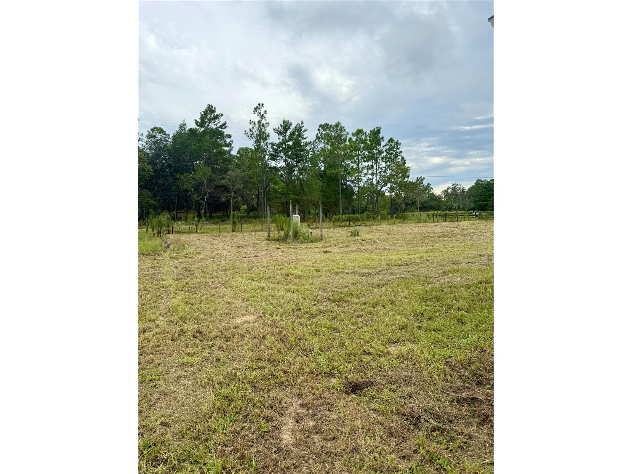 10903 N Farmwood Avenue Dunnellon FL 34433 OM708287 image31