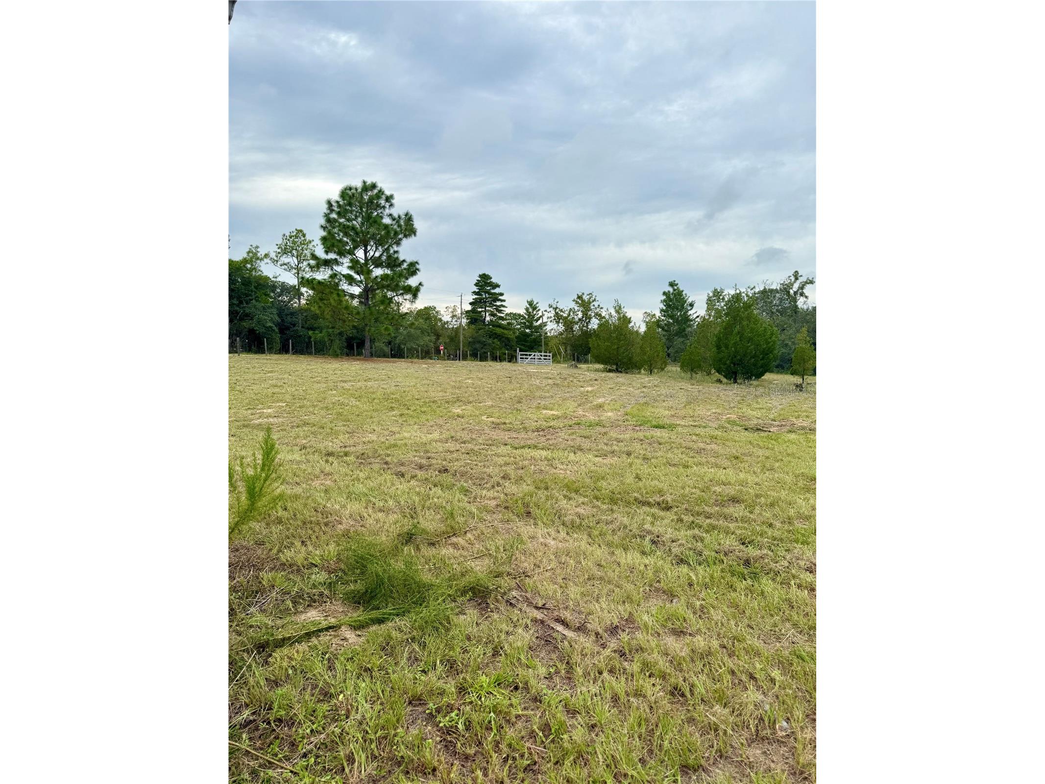 10903 N Farmwood Avenue Dunnellon FL 34433 OM708287 image34