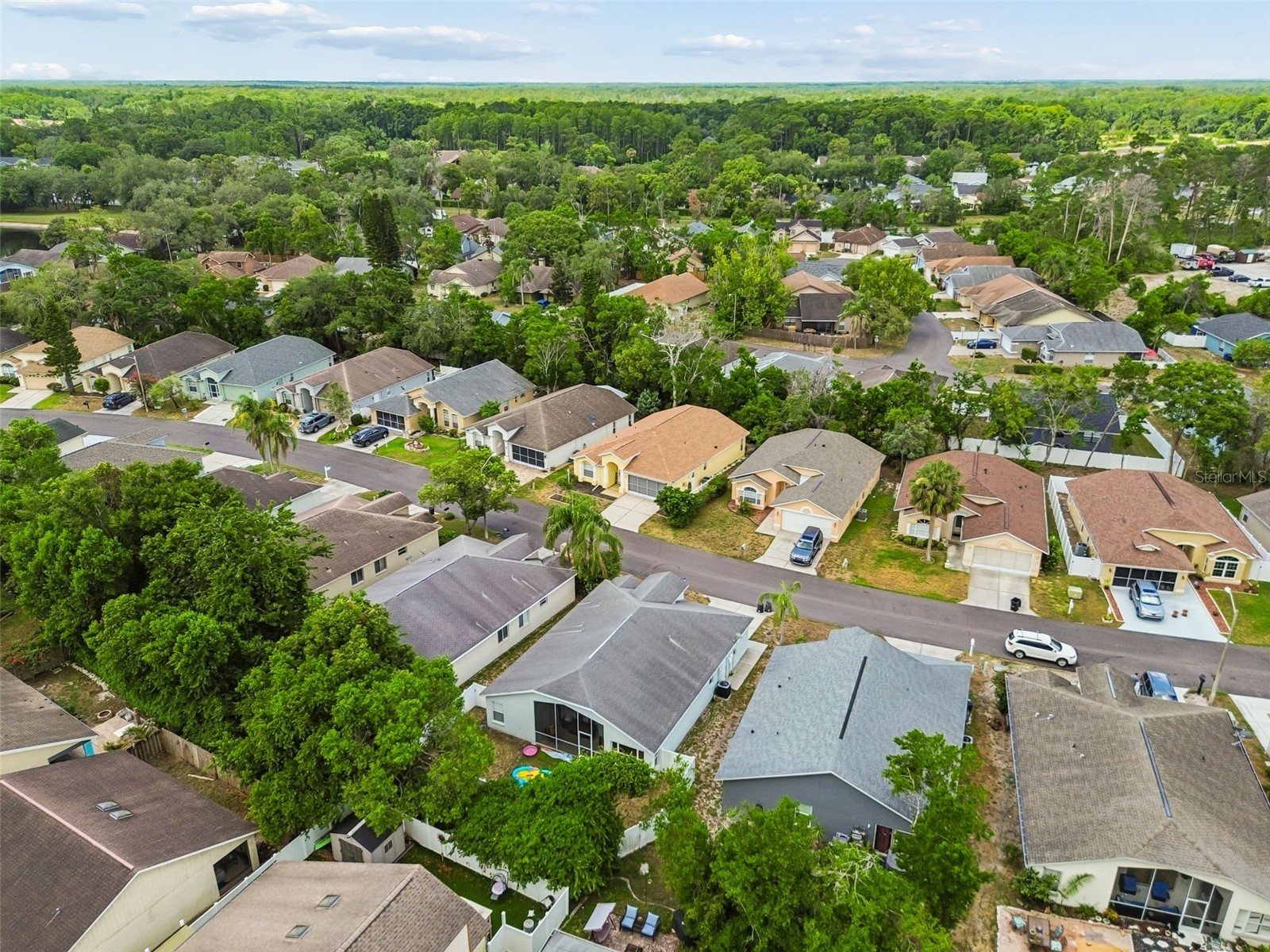 10903 New Brighton Court New Port Richey FL 34654 W7886525 image33